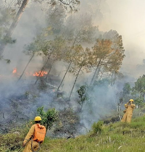 डढेलो निभाउने क्रममा गम्भीर घाइते भएका एक सैनिकको मृत्यु